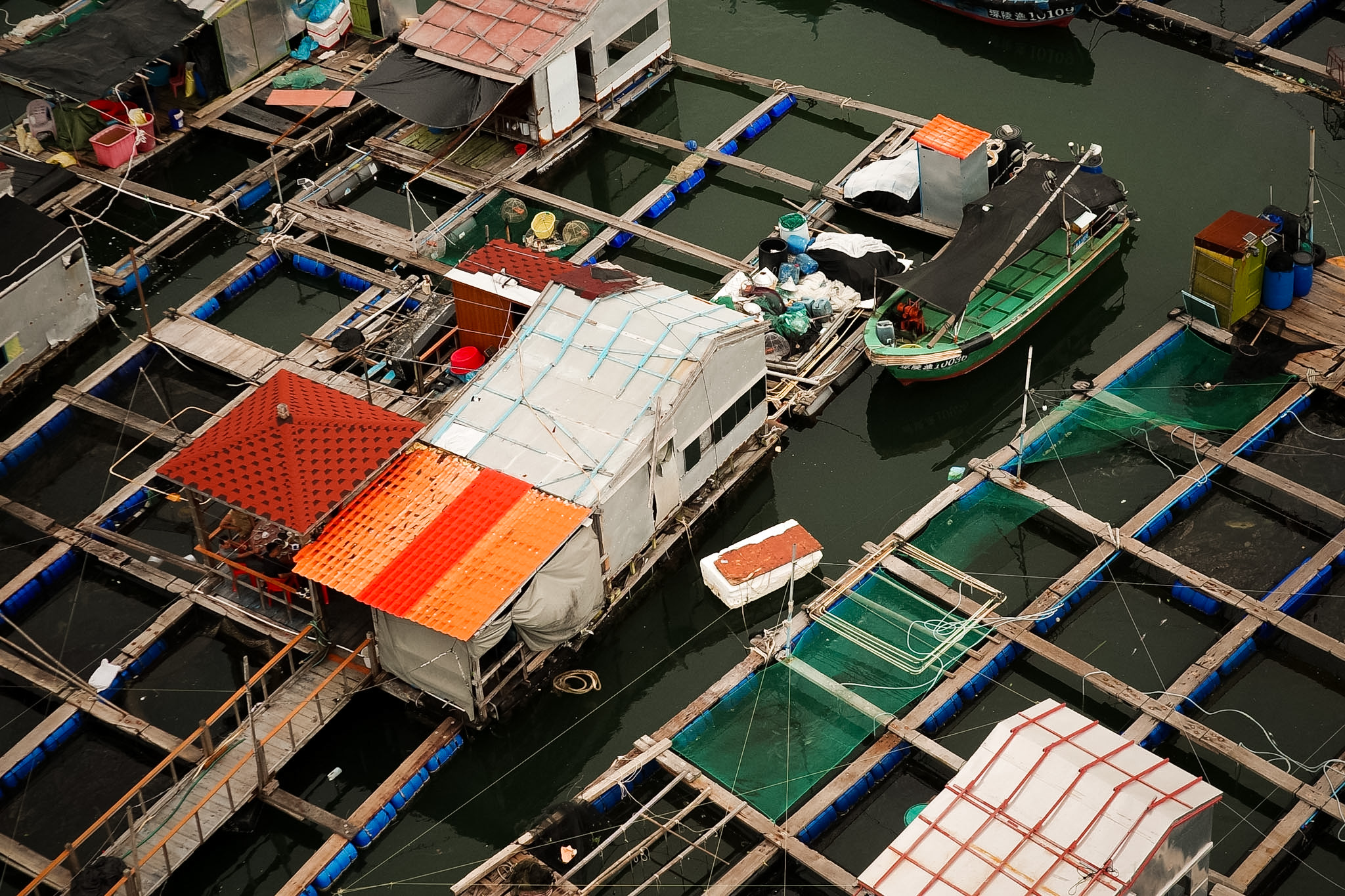 Dozens of square net pens framed in timber and blue barrels, stretching away from the raft houses across the water.