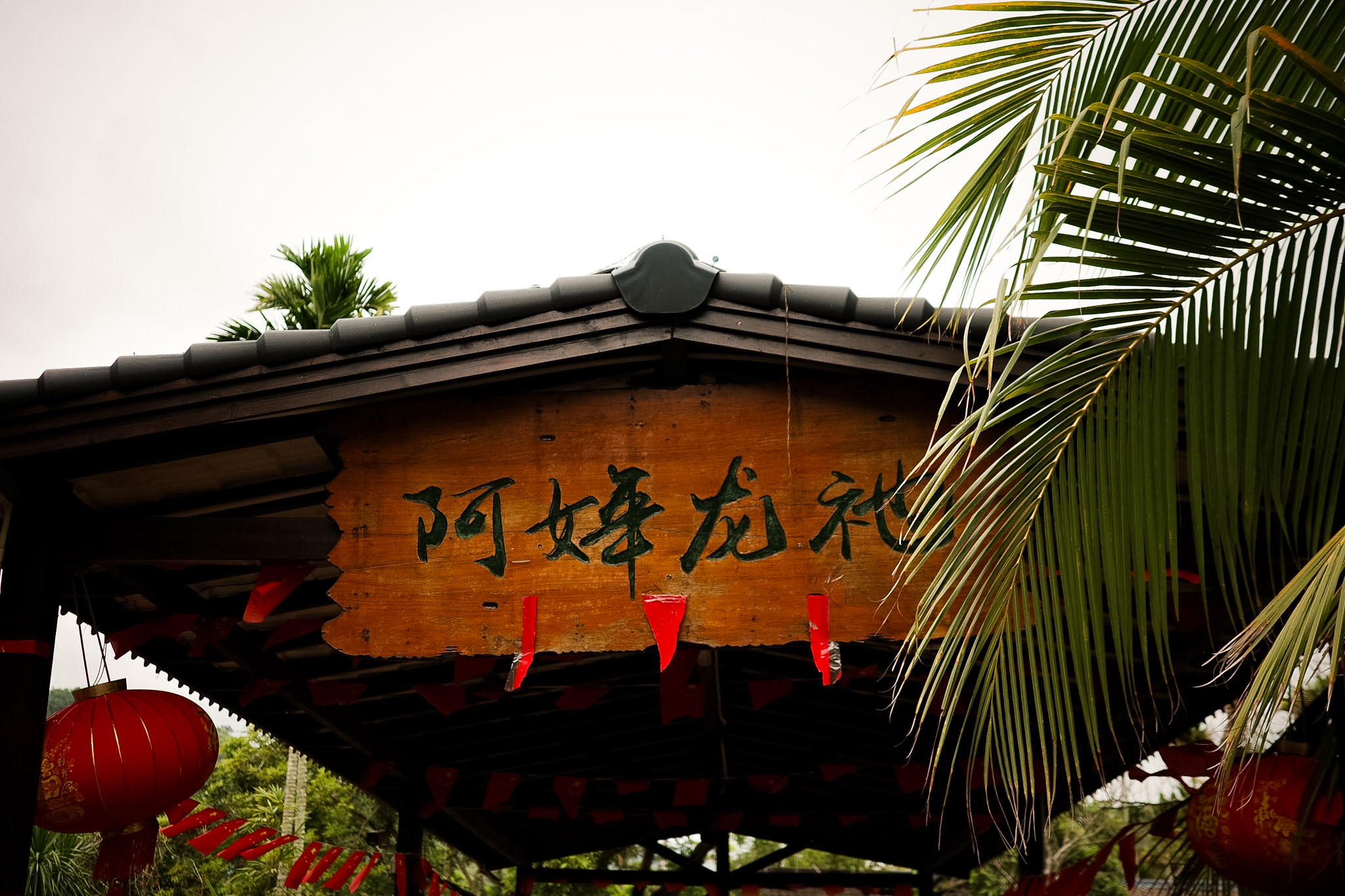A farm restaurant in Zhongliao, its rustic decor more polished than the houses around it.